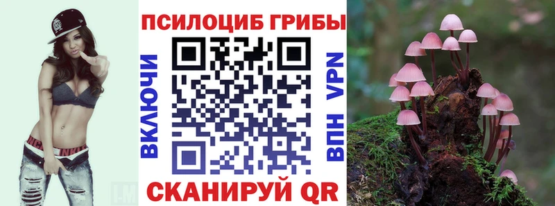 купить наркоту  Светогорск  Псилоцибиновые грибы ЛСД 